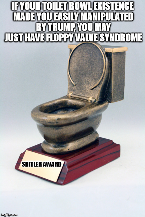 It's nothing that Drinking Draino can"t cure. | IF YOUR TOILET BOWL EXISTENCE MADE YOU EASILY MANIPULATED BY TRUMP, YOU MAY JUST HAVE FLOPPY VALVE SYNDROME; SHITLER AWARD | image tagged in toilet bowl,trump,shitler | made w/ Imgflip meme maker