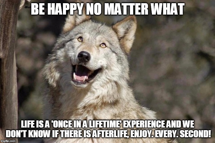 Optimistic Moon Moon Wolf Vanadium Wolf | BE HAPPY NO MATTER WHAT; LIFE IS A 'ONCE IN A LIFETIME' EXPERIENCE AND WE DON'T KNOW IF THERE IS AFTERLIFE, ENJOY. EVERY. SECOND! | image tagged in optimistic moon moon wolf vanadium wolf | made w/ Imgflip meme maker