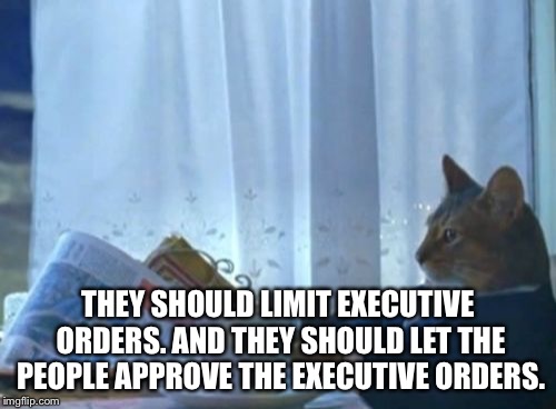 I Should Buy A Boat Cat Meme | THEY SHOULD LIMIT EXECUTIVE ORDERS. AND THEY SHOULD LET THE PEOPLE APPROVE THE EXECUTIVE ORDERS. | image tagged in memes,i should buy a boat cat | made w/ Imgflip meme maker