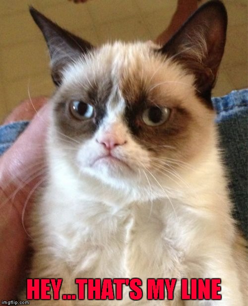 Grumpy Cat Meme | HEY...THAT'S MY LINE | image tagged in memes,grumpy cat | made w/ Imgflip meme maker