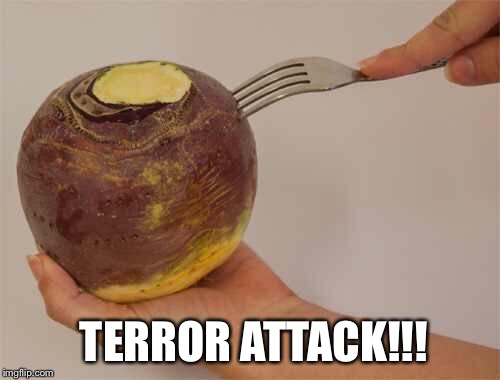 TERROR ATTACK!!! | made w/ Imgflip meme maker