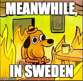 This is fine | MEANWHILE, IN SWEDEN | image tagged in this is fine | made w/ Imgflip meme maker