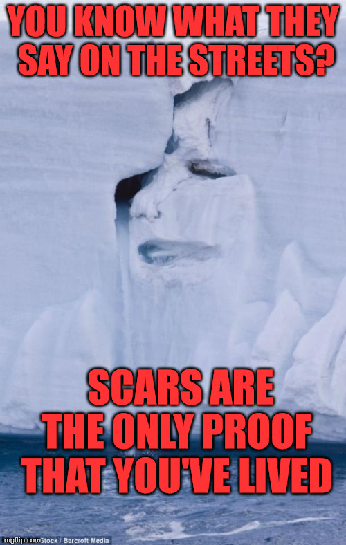 MotherNature | YOU KNOW WHAT THEY SAY ON THE STREETS? SCARS ARE THE ONLY PROOF THAT YOU'VE LIVED | image tagged in mothernature | made w/ Imgflip meme maker