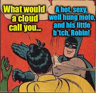 Batman Slapping Robin Meme | What would a cloud call you... A hot, sexy, well hung mofo, and his little b*tch, Robin! | image tagged in memes,batman slapping robin | made w/ Imgflip meme maker