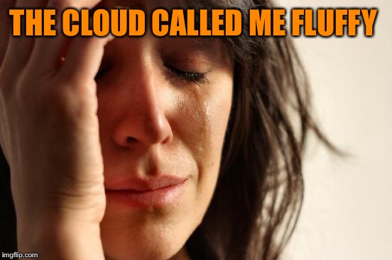 First World Problems Meme | THE CLOUD CALLED ME FLUFFY | image tagged in memes,first world problems | made w/ Imgflip meme maker