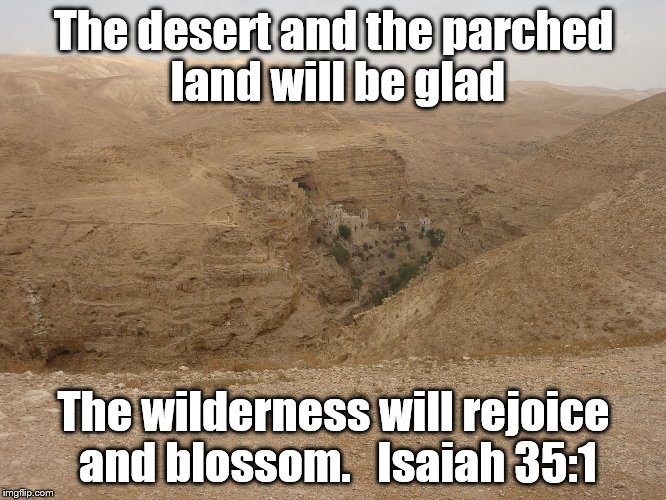 The desert and the parched land will be glad; The wilderness will rejoice and blossom.   Isaiah 35:1 | image tagged in desert | made w/ Imgflip meme maker