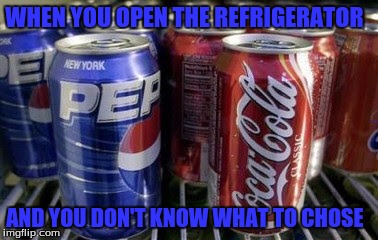 I Will Take Both | WHEN YOU OPEN THE REFRIGERATOR; AND YOU DON'T KNOW WHAT TO CHOSE | image tagged in memes,funny | made w/ Imgflip meme maker