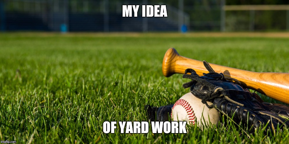MY IDEA; OF YARD WORK | image tagged in baseball,spring,sports | made w/ Imgflip meme maker
