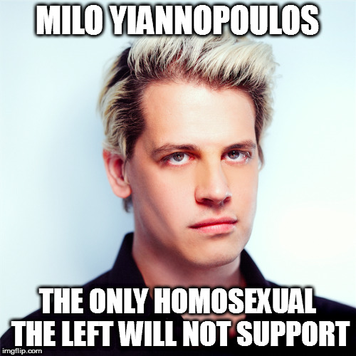MILO YIANNOPOULOS; THE ONLY HOMOSEXUAL THE LEFT WILL NOT SUPPORT | image tagged in milo yiannopoulos homosexual gay | made w/ Imgflip meme maker