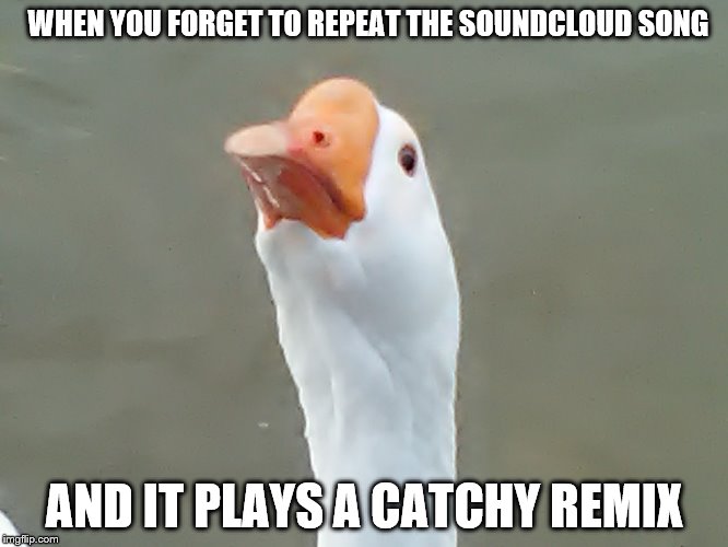 Mr. Duck likes Catchy Remixes | WHEN YOU FORGET TO REPEAT THE SOUNDCLOUD SONG; AND IT PLAYS A CATCHY REMIX | image tagged in mr duck looks up,memes,duck,music | made w/ Imgflip meme maker