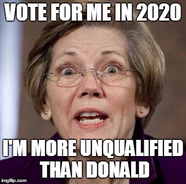 krisstopsychowarren | VOTE FOR ME IN 2020; I'M MORE UNQUALIFIED THAN DONALD | image tagged in krisstopsychowarren | made w/ Imgflip meme maker
