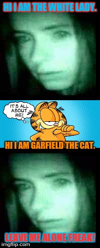 White lady, and Garfield the cat quotes! | HI I AM THE WHITE LADY. HI I AM GARFIELD THE CAT. LEAVE ME ALONE FREAK! | image tagged in white lady,garfield | made w/ Imgflip meme maker