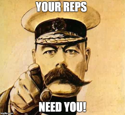 Your Country Needs YOU | YOUR REPS; NEED YOU! | image tagged in your country needs you | made w/ Imgflip meme maker