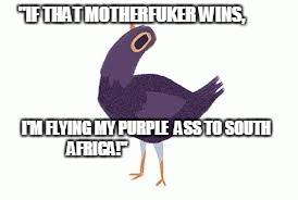 Trash Dove | "IF THAT MOTHERFUKER WINS, I'M FLYING MY PURPLE  ASS TO SOUTH AFRICA!" | image tagged in trash dove | made w/ Imgflip meme maker