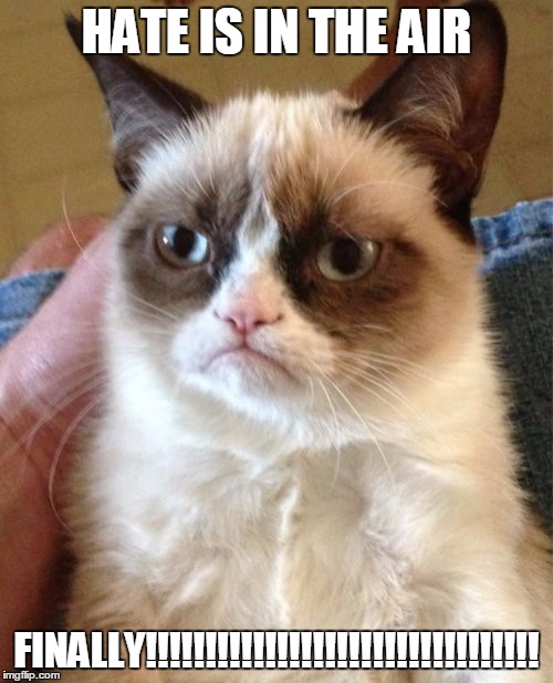 Grumpy Cat Meme | HATE IS IN THE AIR; FINALLY!!!!!!!!!!!!!!!!!!!!!!!!!!!!!!!!! | image tagged in memes,grumpy cat | made w/ Imgflip meme maker