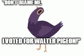 Trash Dove | "DON'T  BLAME ME, I VOTED FOR WALTER PIGEON!" | image tagged in trash dove | made w/ Imgflip meme maker