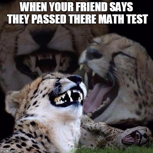 But you're really a cheetah | WHEN YOUR FRIEND SAYS THEY PASSED THERE MATH TEST | image tagged in but you're really a cheetah | made w/ Imgflip meme maker