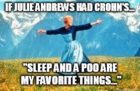 Look At All These | IF JULIE ANDREWS HAD CROHN'S... "SLEEP AND A POO ARE MY FAVORITE THINGS..." | image tagged in memes,look at all these | made w/ Imgflip meme maker