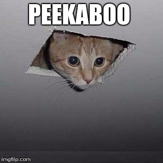 Ceiling Cat Meme | PEEKABOO | image tagged in memes,ceiling cat | made w/ Imgflip meme maker
