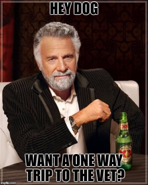 The Most Interesting Man In The World Meme | HEY DOG; WANT A ONE WAY TRIP TO THE VET? | image tagged in memes,the most interesting man in the world | made w/ Imgflip meme maker