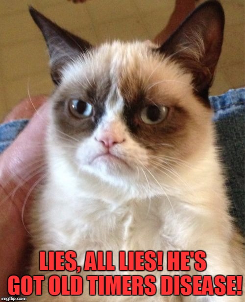 Grumpy Cat Meme | LIES, ALL LIES! HE'S GOT OLD TIMERS DISEASE! | image tagged in memes,grumpy cat | made w/ Imgflip meme maker