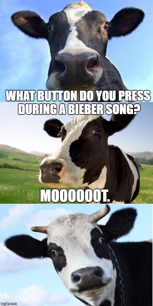 Bad Pun Cow | WHAT BUTTON DO YOU PRESS DURING A BIEBER SONG? MOOOOOOT. | image tagged in bad pun cow | made w/ Imgflip meme maker