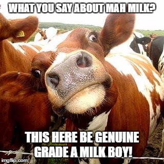 What?! Cow | WHAT YOU SAY ABOUT MAH MILK? THIS HERE BE GENUINE GRADE A MILK BOY! | image tagged in what cow | made w/ Imgflip meme maker