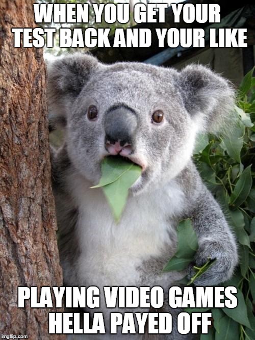 Surprised Koala Meme | WHEN YOU GET YOUR TEST BACK AND YOUR LIKE; PLAYING VIDEO GAMES HELLA PAYED OFF | image tagged in memes,surprised koala | made w/ Imgflip meme maker