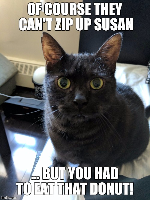  OF COURSE THEY CAN'T ZIP UP SUSAN; ... BUT YOU HAD TO EAT THAT DONUT! | image tagged in fat cat,black cat,grumpy cat,mean cat | made w/ Imgflip meme maker