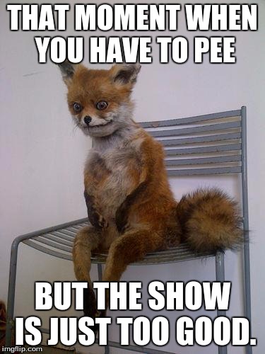 broke fox | THAT MOMENT WHEN YOU HAVE TO PEE; BUT THE SHOW IS JUST TOO GOOD. | image tagged in broke fox | made w/ Imgflip meme maker
