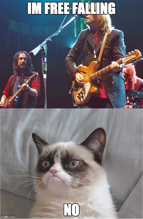 Free Fallin' Grumpy Cat | IM FREE FALLING; NO | image tagged in free fallin' grumpy cat | made w/ Imgflip meme maker