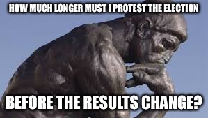 HOW MUCH LONGER MUST I PROTEST THE ELECTION; BEFORE THE RESULTS CHANGE? | image tagged in memes,election protesters,results,thinker | made w/ Imgflip meme maker