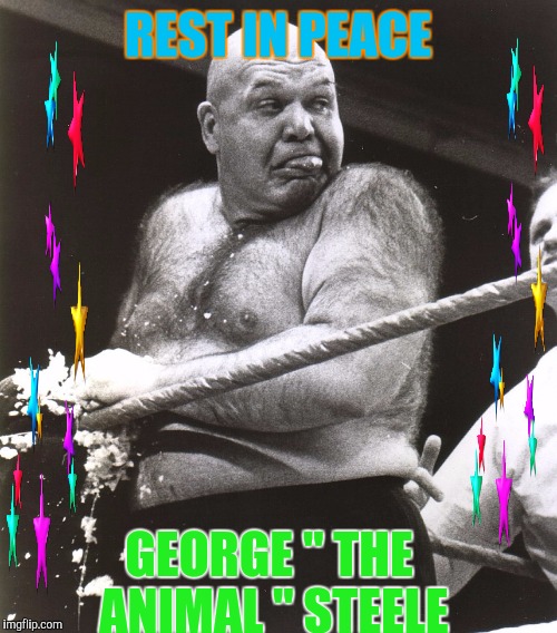 The Animal | REST IN PEACE; GEORGE " THE ANIMAL " STEELE | image tagged in memes | made w/ Imgflip meme maker