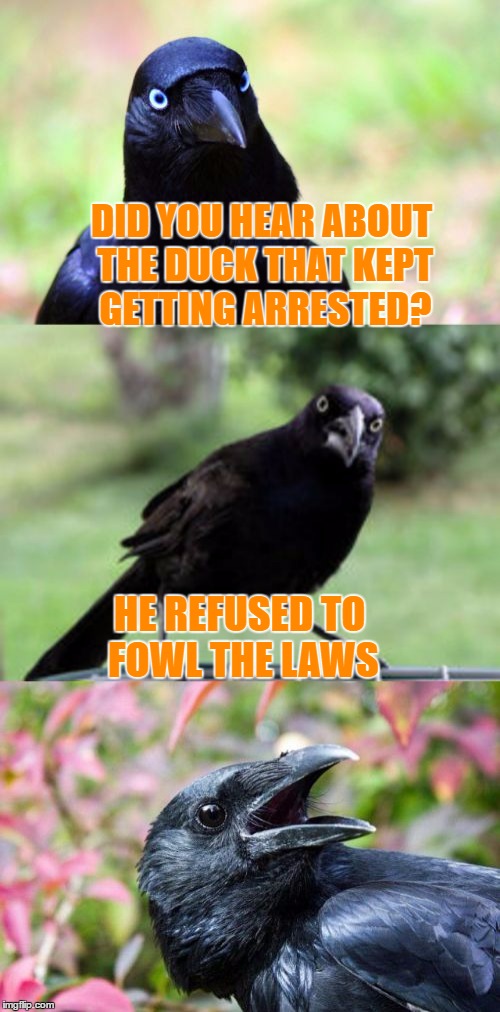 Bad pun crow ran a fowl | DID YOU HEAR ABOUT THE DUCK THAT KEPT GETTING ARRESTED? HE REFUSED TO FOWL THE LAWS | image tagged in bad pun crow,memes,criminal,arrested,ducks | made w/ Imgflip meme maker
