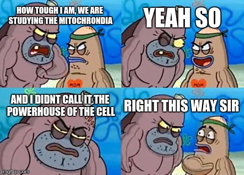 How Tough Are You Meme | YEAH SO; HOW TOUGH I AM, WE ARE STUDYING THE MITOCHRONDIA; AND I DIDNT CALL IT THE POWERHOUSE OF THE CELL; RIGHT THIS WAY SIR | image tagged in memes,how tough are you | made w/ Imgflip meme maker