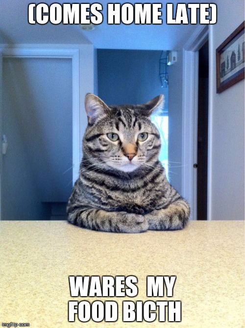 Take A Seat Cat Meme | (COMES HOME LATE); WARES  MY FOOD BICTH | image tagged in memes,take a seat cat | made w/ Imgflip meme maker