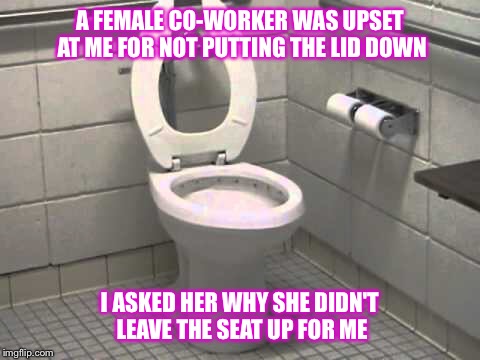 You say you want equal rights... |  A FEMALE CO-WORKER WAS UPSET AT ME FOR NOT PUTTING THE LID DOWN; I ASKED HER WHY SHE DIDN'T LEAVE THE SEAT UP FOR ME | image tagged in toilet seat up,work,equal rights | made w/ Imgflip meme maker