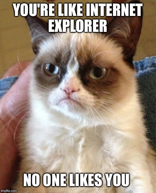 Grumpy Cat | YOU'RE LIKE INTERNET EXPLORER; NO ONE LIKES YOU | image tagged in memes,grumpy cat | made w/ Imgflip meme maker