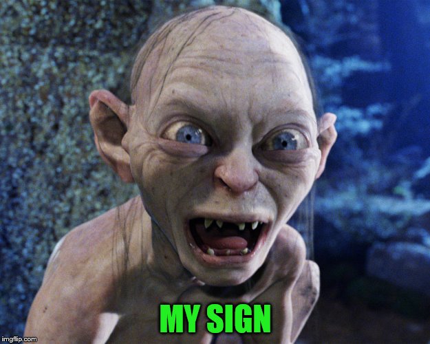 MY SIGN | made w/ Imgflip meme maker