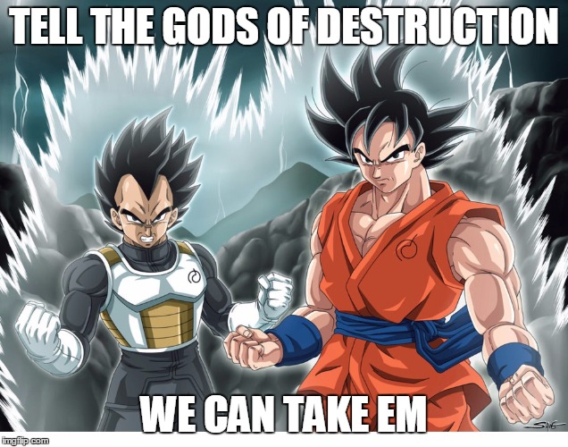 goku and vegeta | TELL THE GODS OF DESTRUCTION; WE CAN TAKE EM | image tagged in goku and vegeta | made w/ Imgflip meme maker