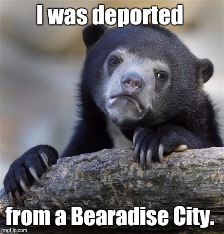 Confession Bear Meme | I was deported from a Bearadise City. | image tagged in memes,confession bear | made w/ Imgflip meme maker