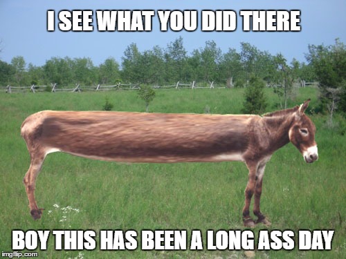 Long Ass Day | I SEE WHAT YOU DID THERE BOY THIS HAS BEEN A LONG ASS DAY | image tagged in long ass day | made w/ Imgflip meme maker