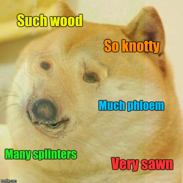 Petrified Doge | Such wood; So knotty; Much phloem; Many splinters; Very sawn | image tagged in memes,petrified doge,woodwork | made w/ Imgflip meme maker