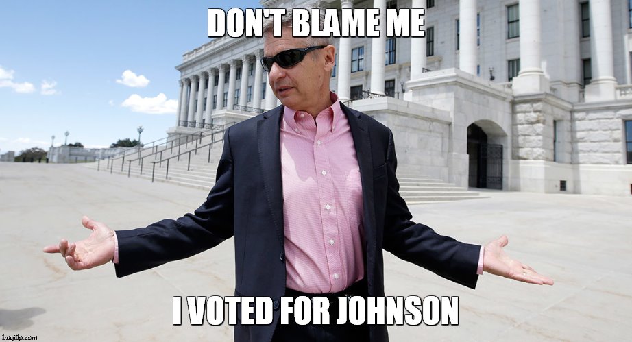 Gary Johnson | DON'T BLAME ME; I VOTED FOR JOHNSON | image tagged in gary johnson | made w/ Imgflip meme maker