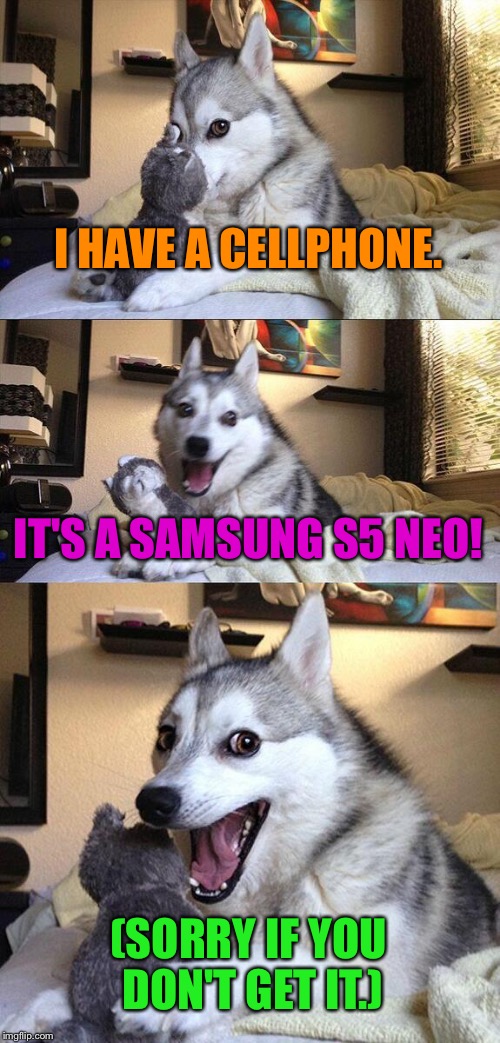 Samsung NEO | I HAVE A CELLPHONE. IT'S A SAMSUNG S5 NEO! (SORRY IF YOU DON'T GET IT.) | image tagged in memes,bad pun dog | made w/ Imgflip meme maker