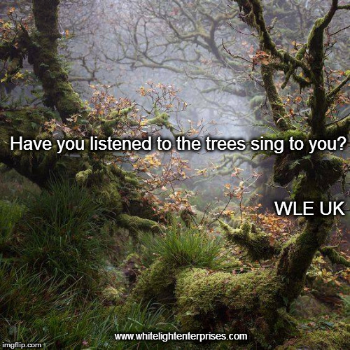 Listen to the Trees | Have you listened to the trees sing to you? WLE UK; www.whitelightenterprises.com | image tagged in meditation,quiet,peace,dryads,earth spirits,sing | made w/ Imgflip meme maker