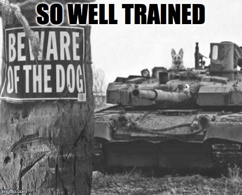 A Real Guard Dog | SO WELL TRAINED | image tagged in dog,army,funny meme | made w/ Imgflip meme maker