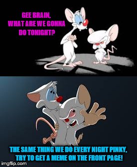 Cartoon Week a JuicyDeath1025 event Naarf! | GEE BRAIN, WHAT ARE WE GONNA DO TONIGHT? THE SAME THING WE DO EVERY NIGHT PINKY, TRY TO GET A MEME ON THE FRONT PAGE! | image tagged in memes,cartoon week,pinky and the brain | made w/ Imgflip meme maker
