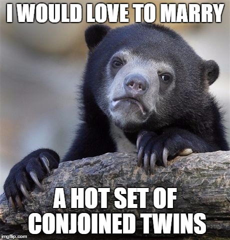 Confession Bear Meme | I WOULD LOVE TO MARRY; A HOT SET OF CONJOINED TWINS | image tagged in memes,confession bear | made w/ Imgflip meme maker