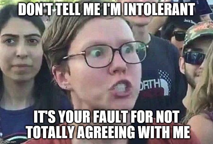 Don't tell me I'm intolerant, it's your fault for not totally agreeing with me | DON'T TELL ME I'M INTOLERANT; IT'S YOUR FAULT FOR NOT TOTALLY AGREEING WITH ME | image tagged in triggered liberal,intolerant,super_triggered | made w/ Imgflip meme maker